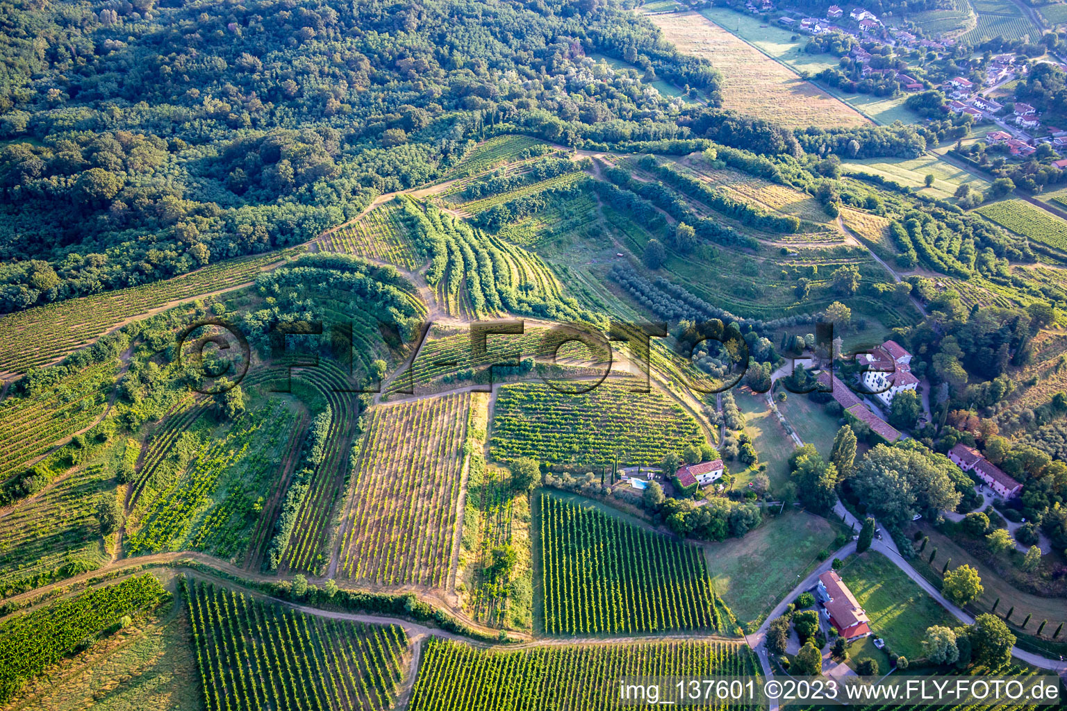 Luftaufnahme von Weinberge in Mossa im Bundesland Gorizia, Italien