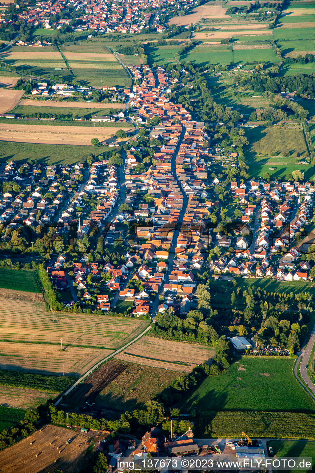 Von Westen in Freckenfeld im Bundesland Rheinland-Pfalz, Deutschland