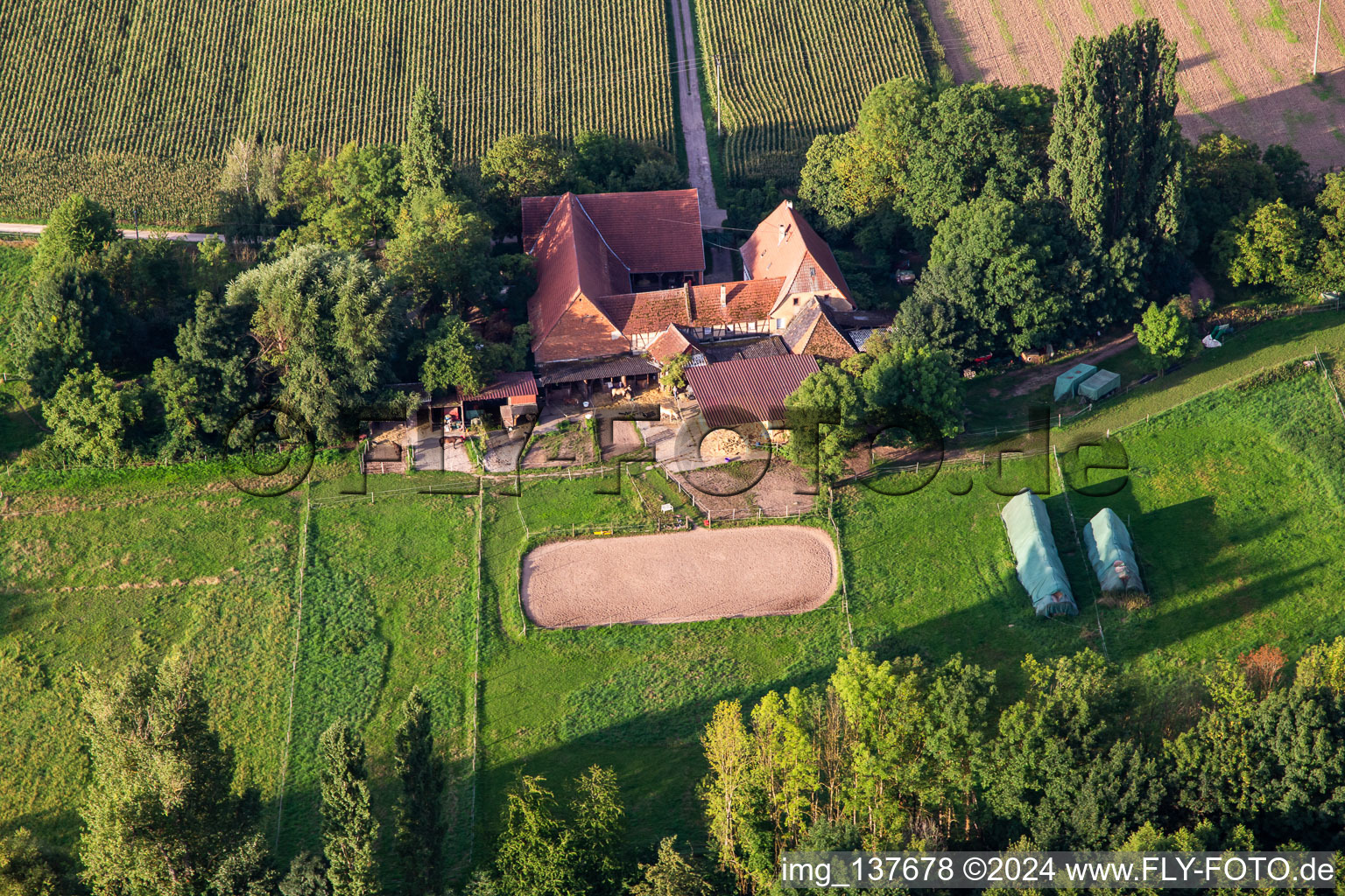 Luftbild von Hof mit Pferden am Erlenbach in Oberhausen im Bundesland Rheinland-Pfalz, Deutschland