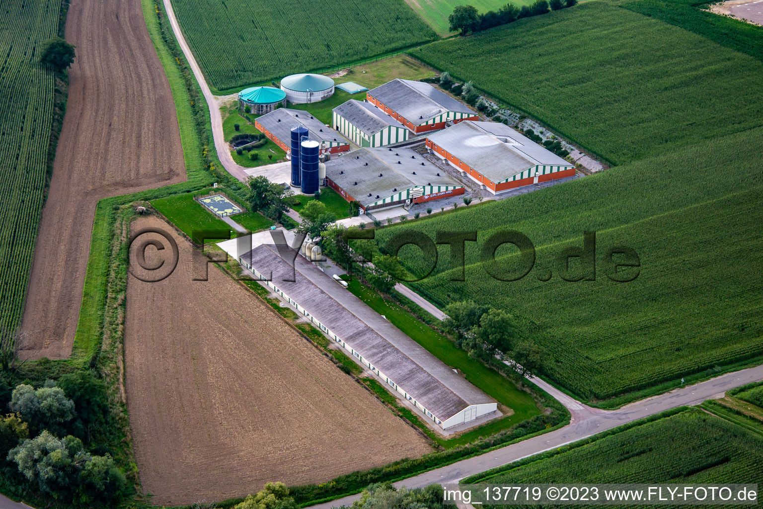 Viehzucht mit Biogasanlage in Trimbach im Bundesland Bas-Rhin, Frankreich
