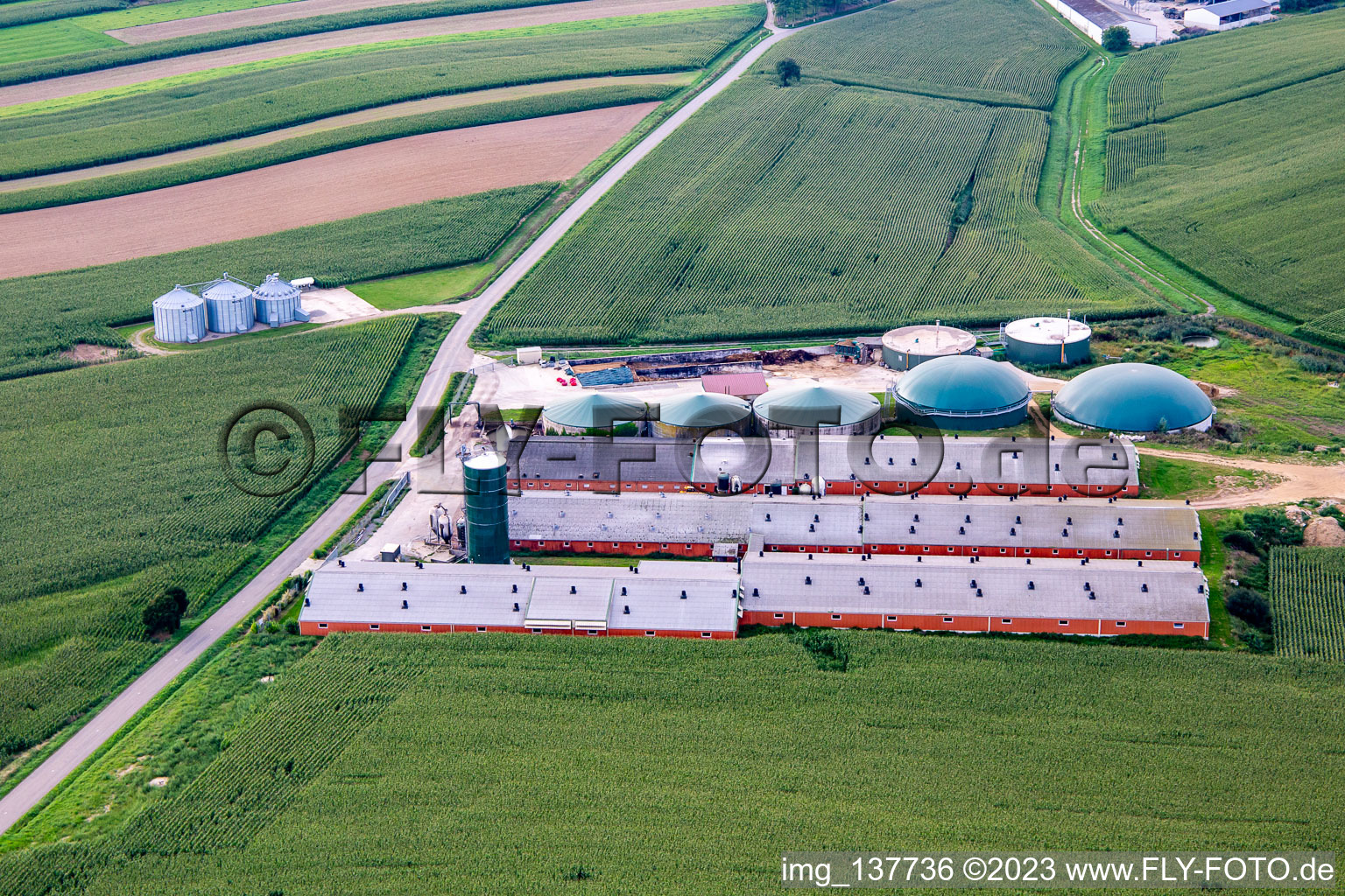 Viehzucht mit Biogas in Wintzenbach im Bundesland Bas-Rhin, Frankreich