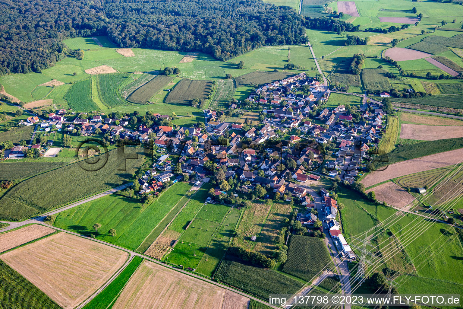 Luftbild von Ortsteil Zierolshofen in Kehl im Bundesland Baden-Württemberg, Deutschland