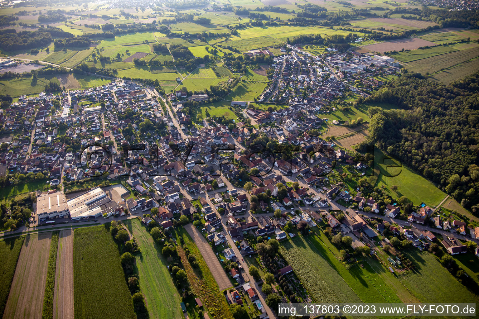 Luftaufnahme von Von Nordosten im Ortsteil Bodersweier in Kehl im Bundesland Baden-Württemberg, Deutschland