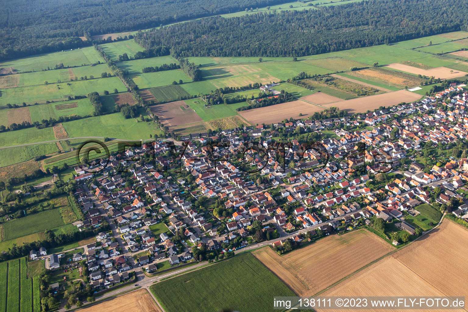 Luftbild von Von Norden in Minfeld im Bundesland Rheinland-Pfalz, Deutschland