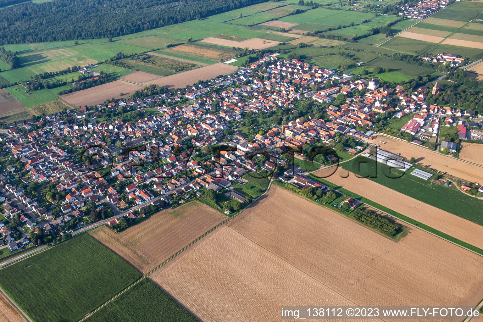 Luftaufnahme von Von Norden in Minfeld im Bundesland Rheinland-Pfalz, Deutschland