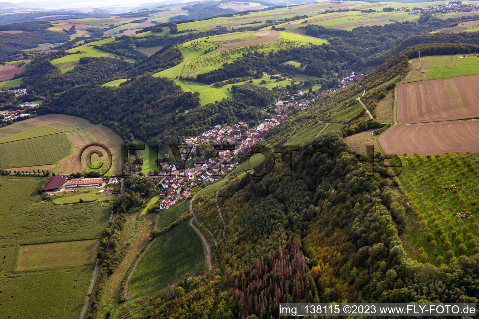Luftaufnahme von Raumbach im Bundesland Rheinland-Pfalz, Deutschland