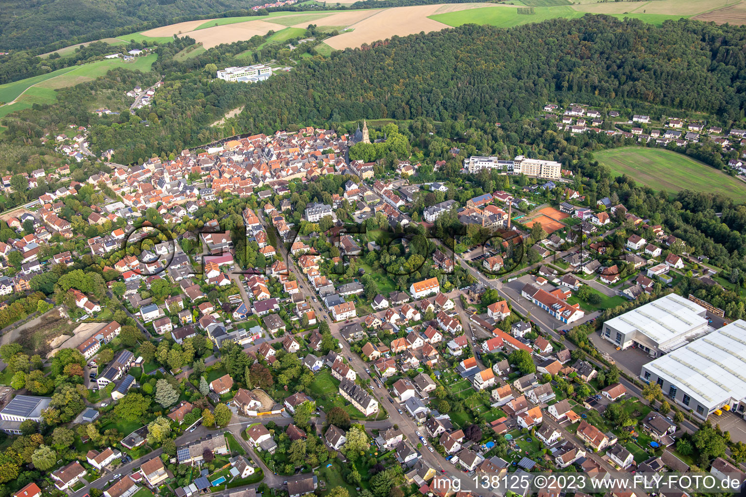 Meisenheim im Bundesland Rheinland-Pfalz, Deutschland von einer Drohne aus