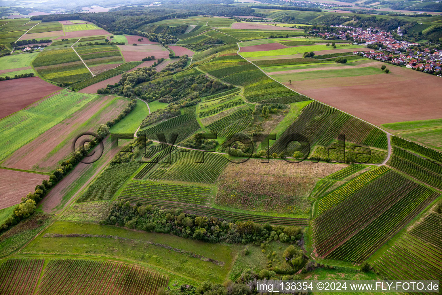 Krilerkäppchen in Rüdesheim im Bundesland Rheinland-Pfalz, Deutschland