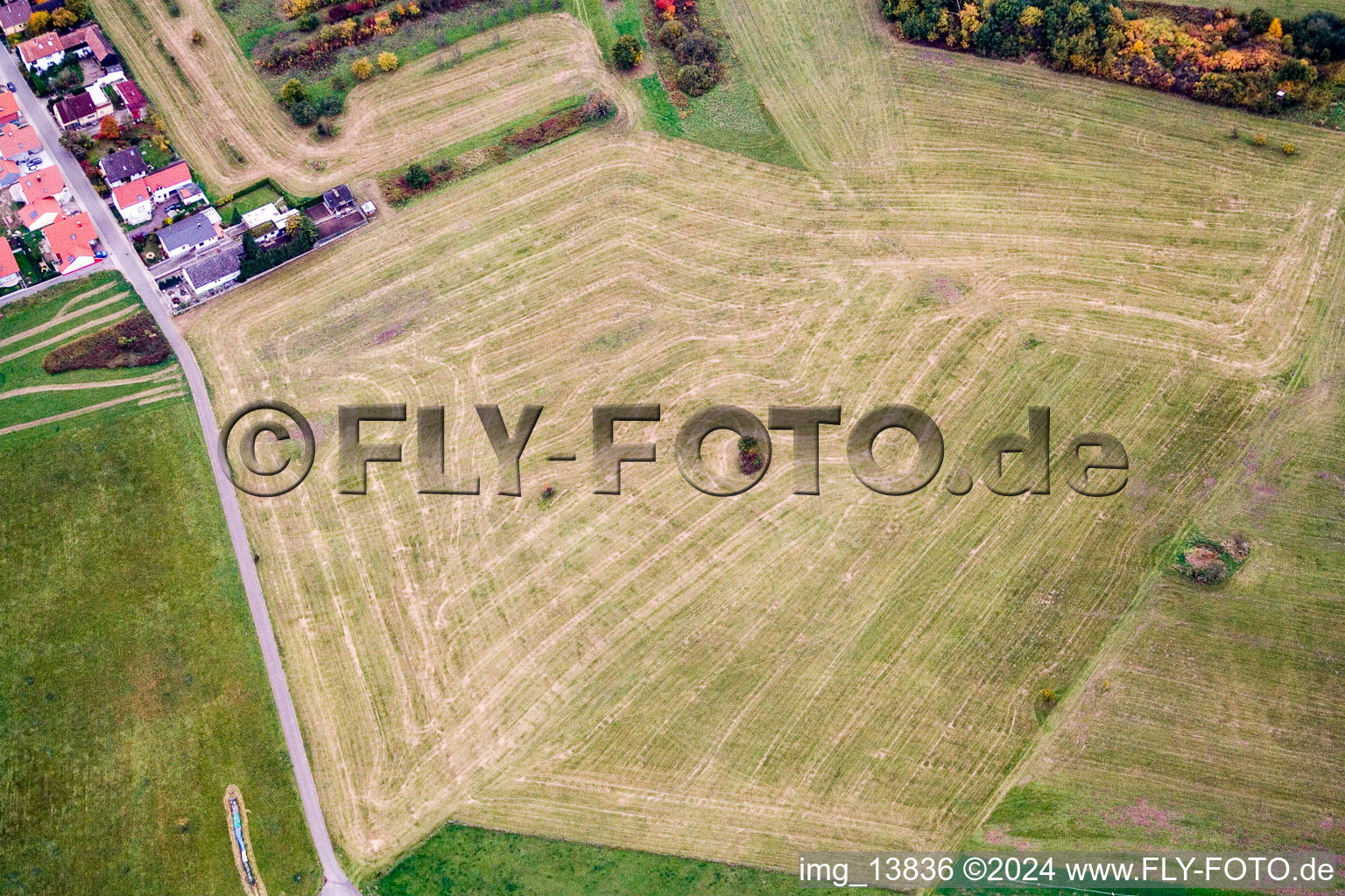 Abgeerntete Wiese auf landwirtschaftlichen Feld- Reihen im Ortsteil Büchelberg in Wörth am Rhein im Bundesland Rheinland-Pfalz, Deutschland