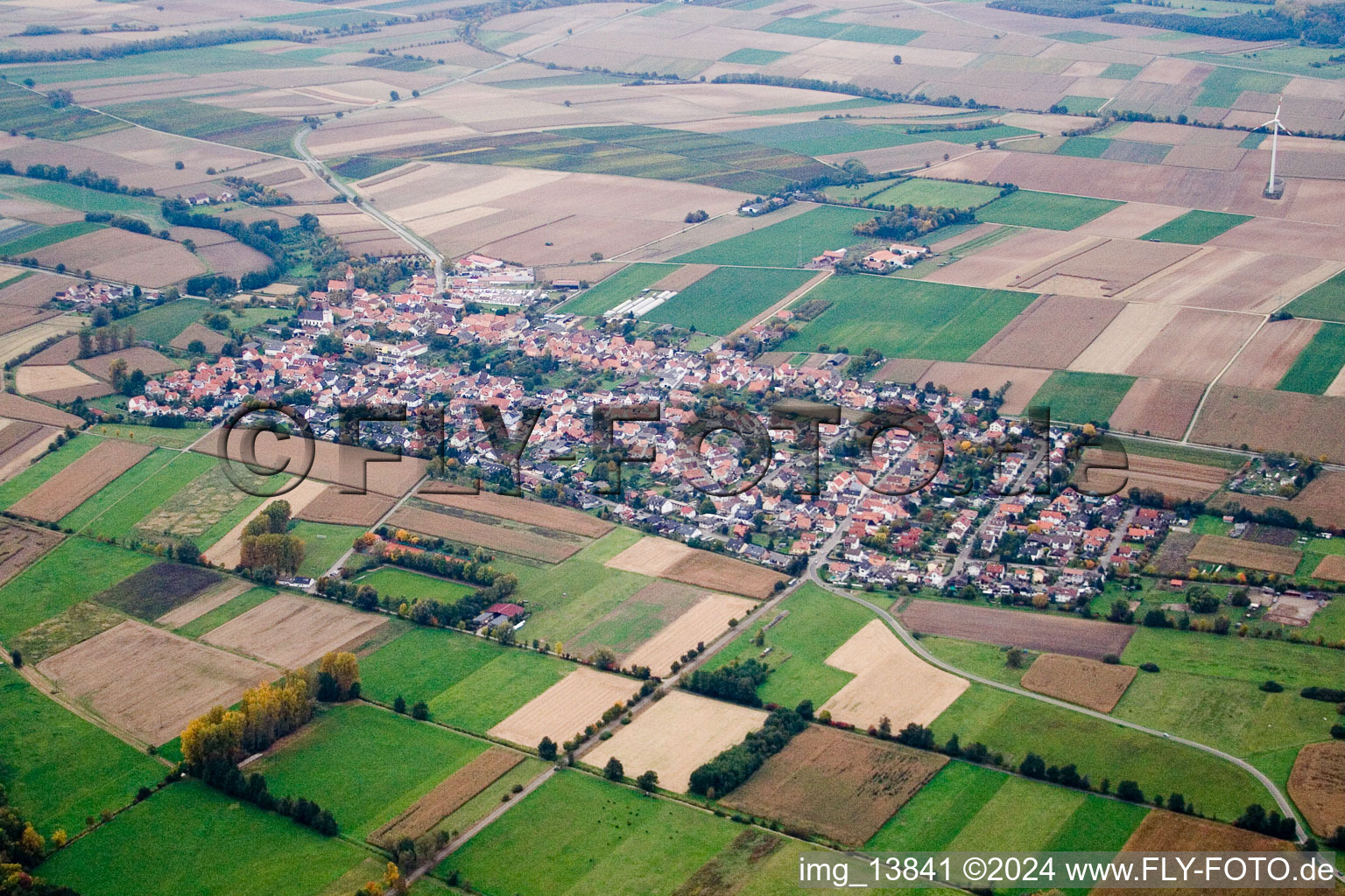 Dorf - Ansicht am Rande von landwirtschaftlichen Feldern und Nutzflächen in Minfeld im Bundesland Rheinland-Pfalz, Deutschland