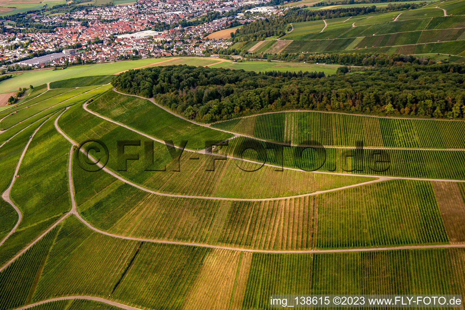 Luftbild von Weinberg Großbottwar im Ortsteil Kleinbottwar in Steinheim an der Murr im Bundesland Baden-Württemberg, Deutschland