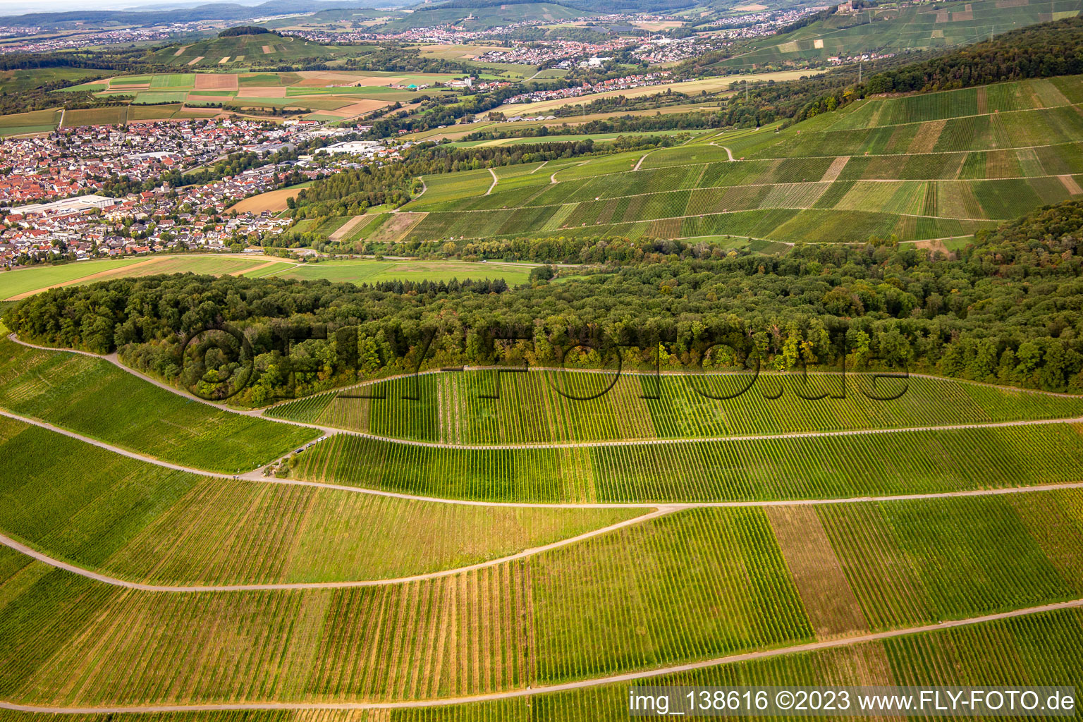 Luftaufnahme von Weinberg Großbottwar im Ortsteil Kleinbottwar in Steinheim an der Murr im Bundesland Baden-Württemberg, Deutschland