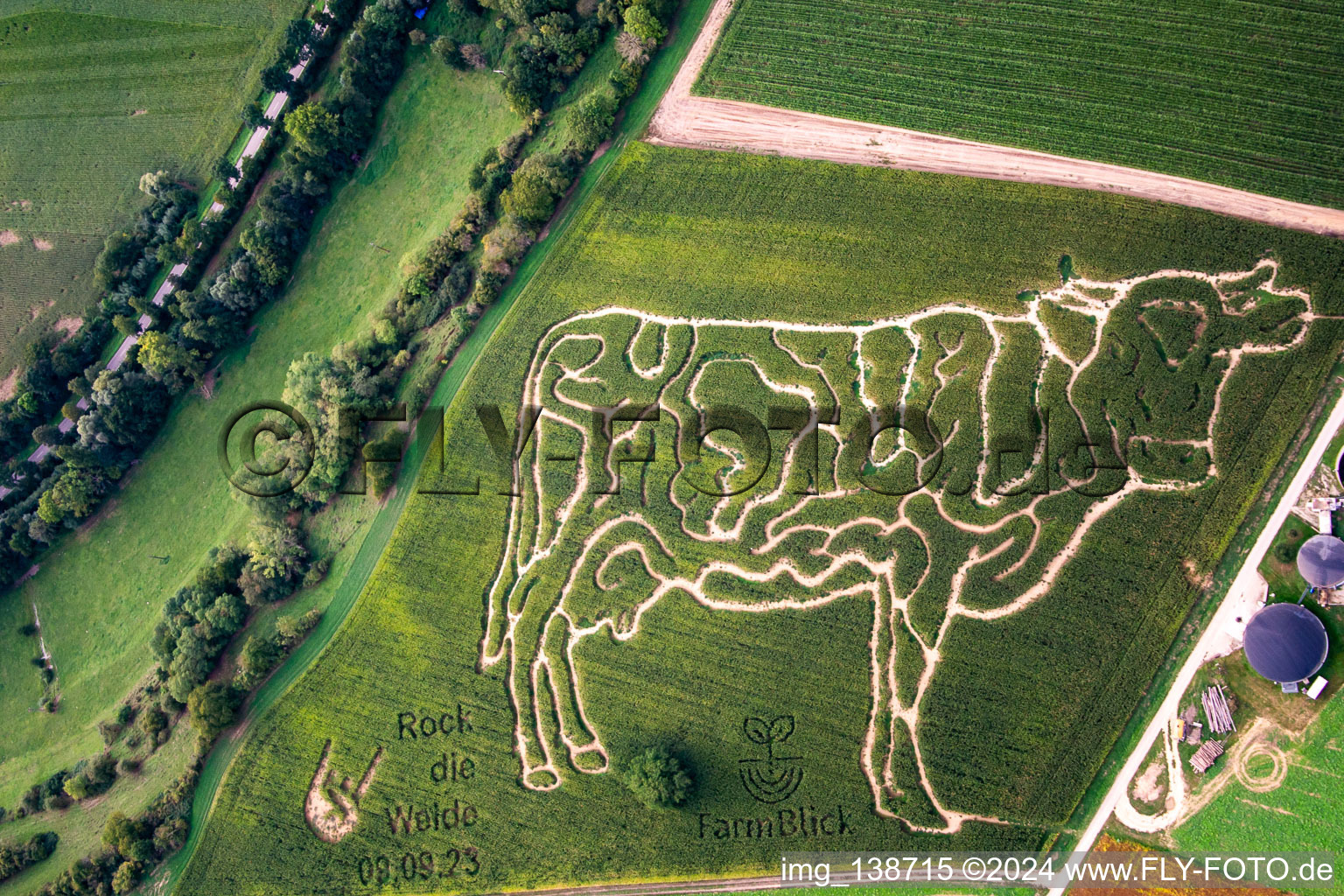 Luftbild von Maislabyrinth des Milchhof Lämmle-Hofmann in Oberderdingen im Bundesland Baden-Württemberg, Deutschland