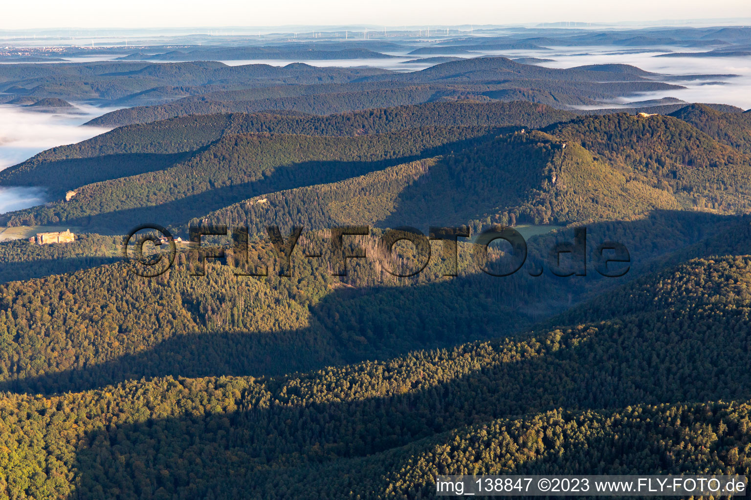 Wingen im Bundesland Rheinland-Pfalz, Deutschland von oben gesehen