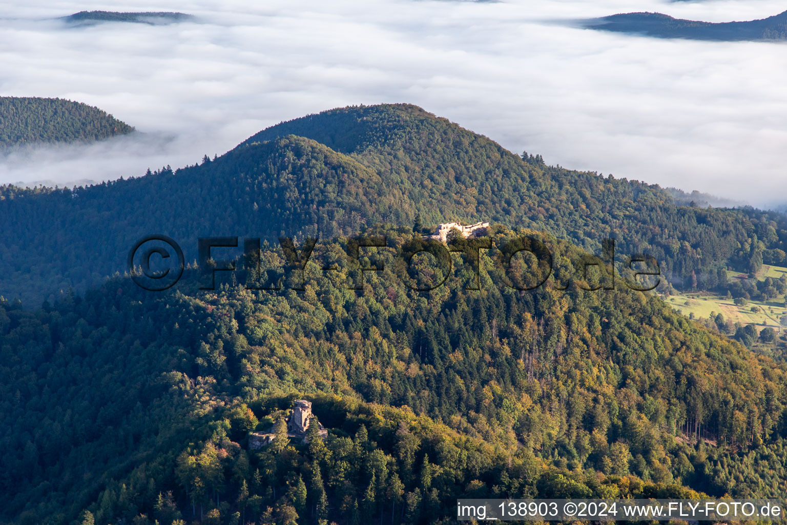 Luftbild von Château de Lœwenstein und Wegelnburg in Wingen im Bundesland Bas-Rhin, Frankreich