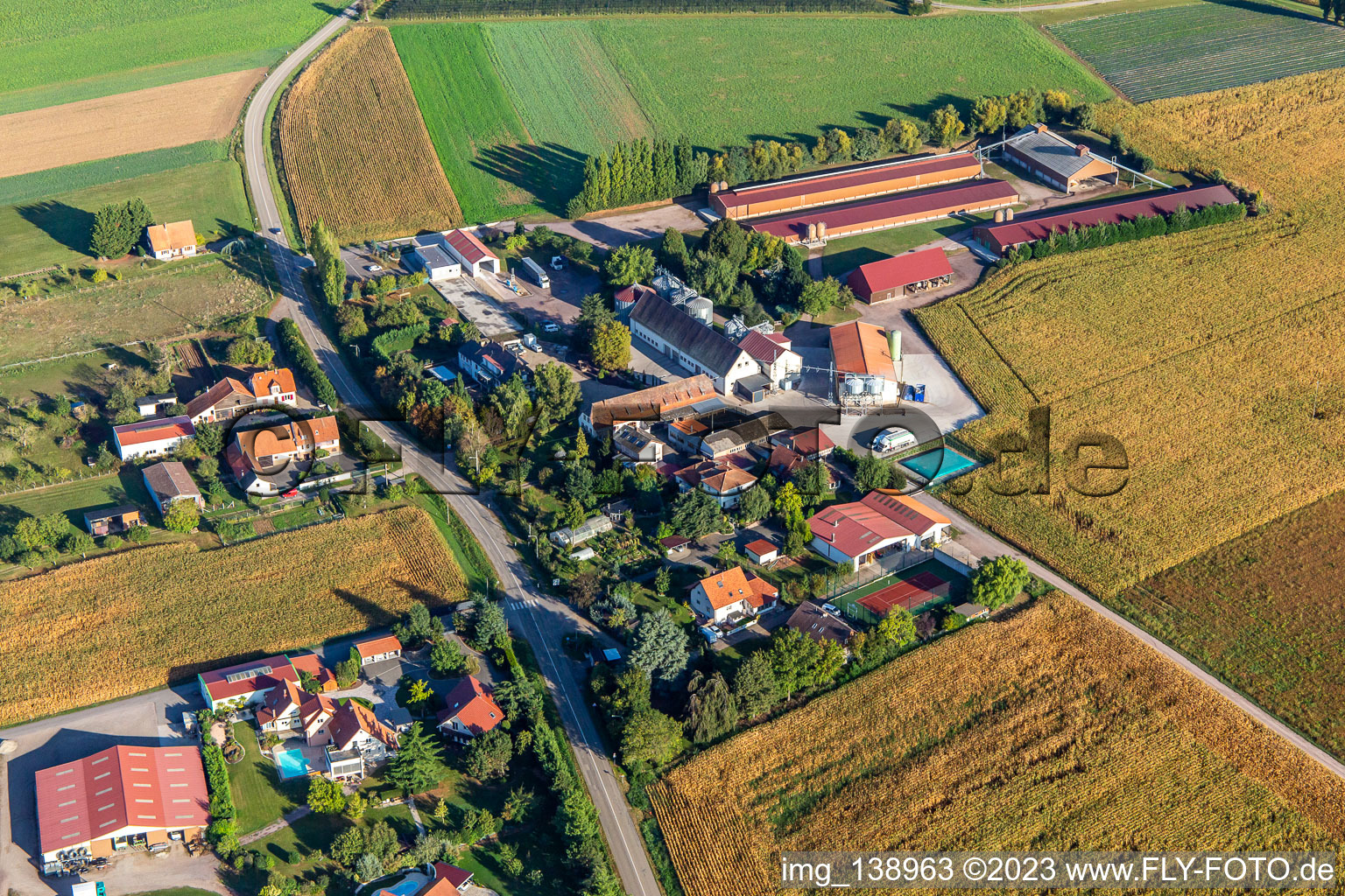 Luftaufnahme von Ferme Schafbusch in Steinseltz im Bundesland Bas-Rhin, Frankreich