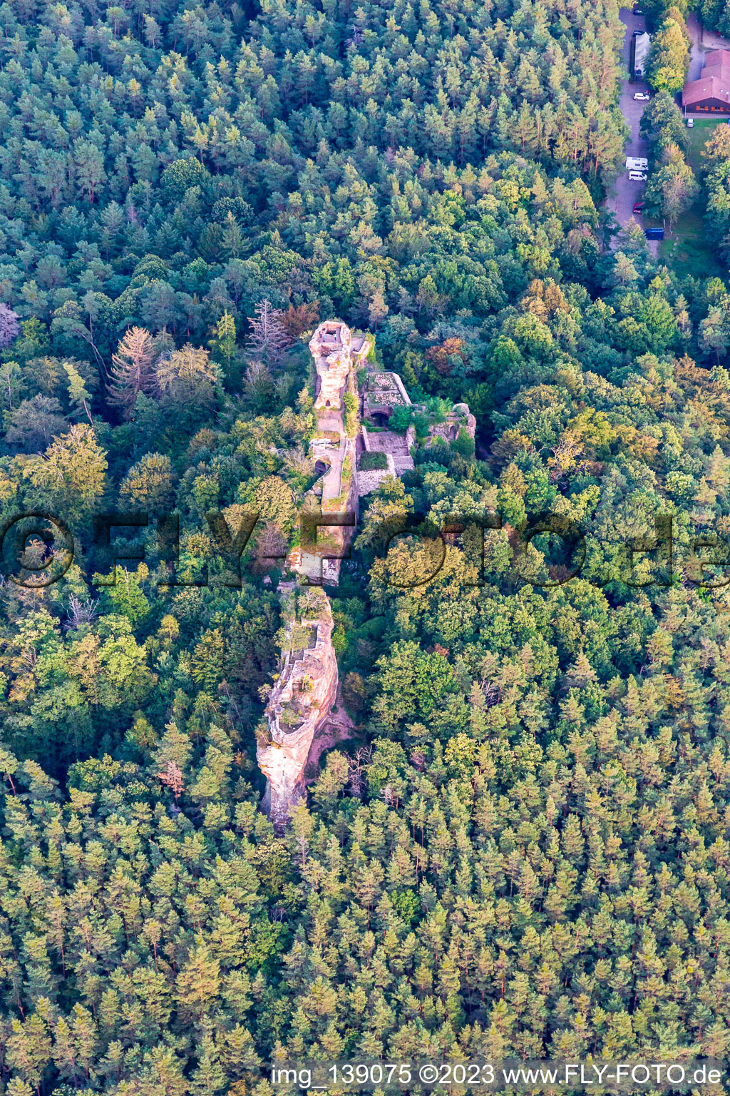 Burg Drachenfels in Busenberg im Bundesland Rheinland-Pfalz, Deutschland aus der Luft