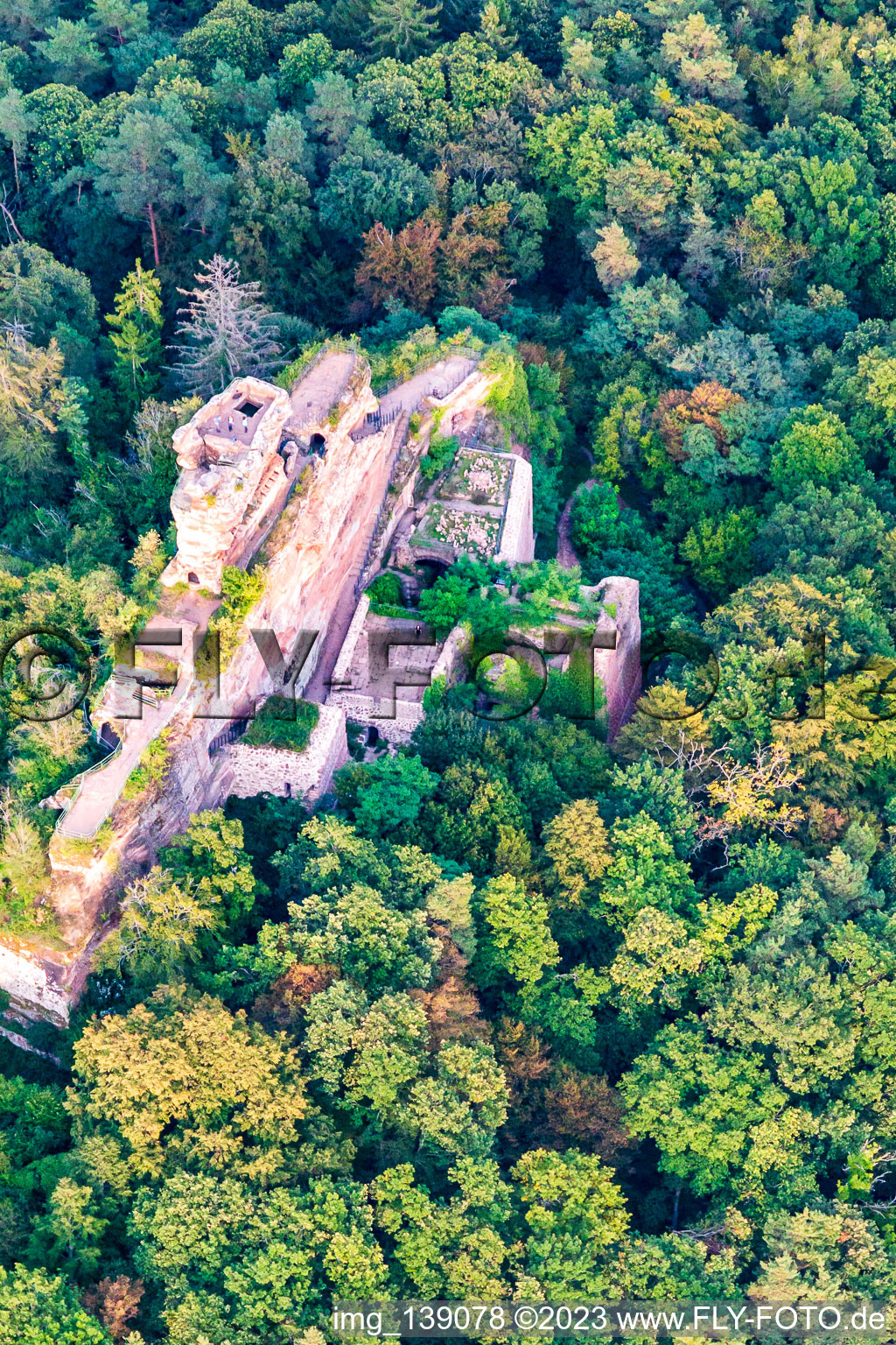 Burg Drachenfels in Busenberg im Bundesland Rheinland-Pfalz, Deutschland vom Flugzeug aus