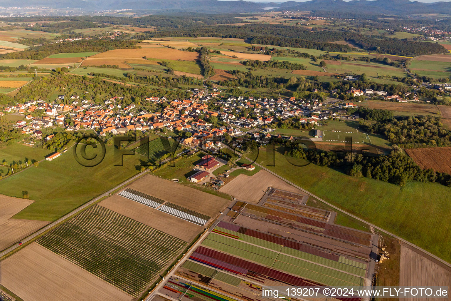 Ferme Brandt Arbogast Morsbronn in Morsbronn-les-Bains im Bundesland Bas-Rhin, Frankreich