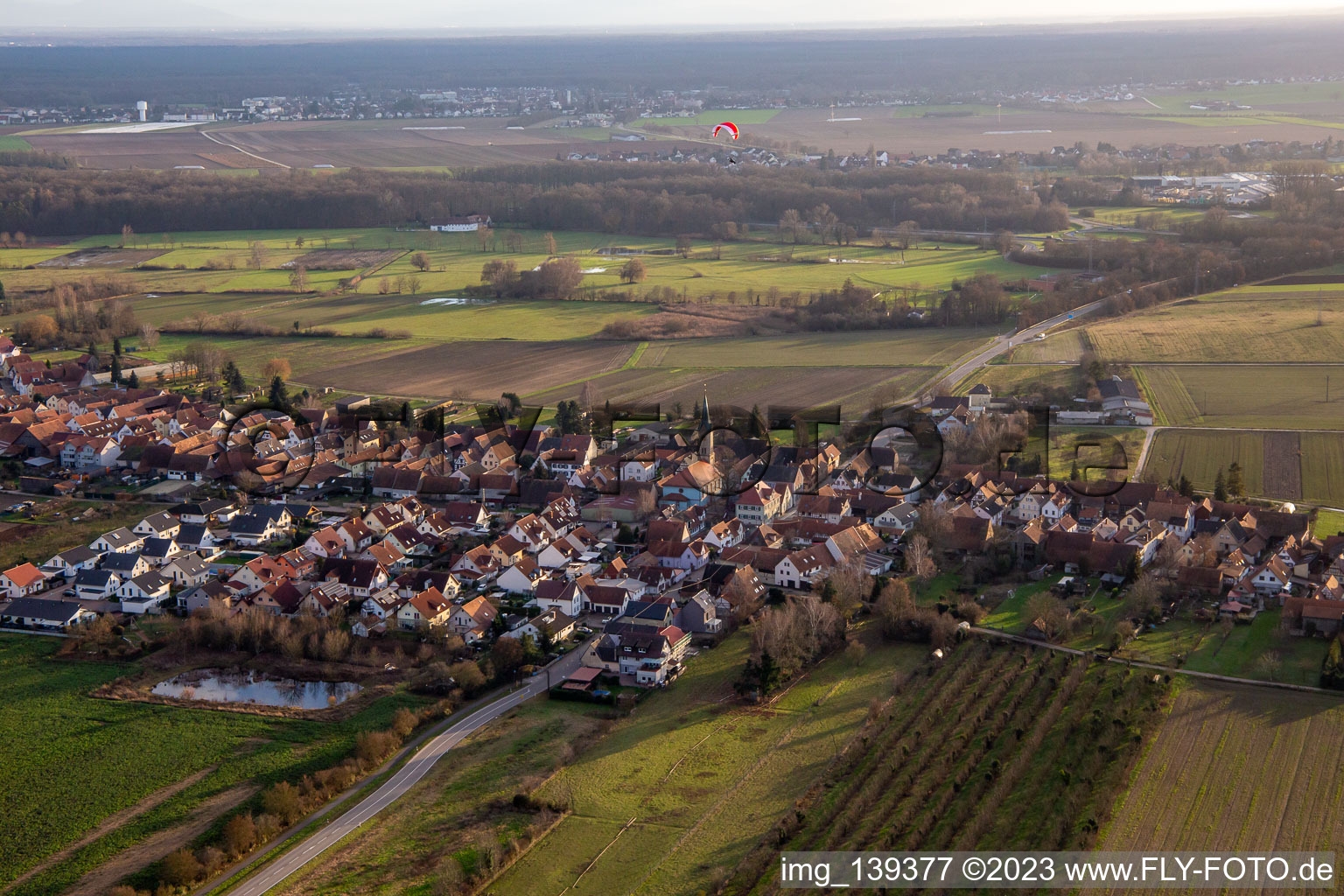 Luftbild von Von Norden in Erlenbach bei Kandel im Bundesland Rheinland-Pfalz, Deutschland