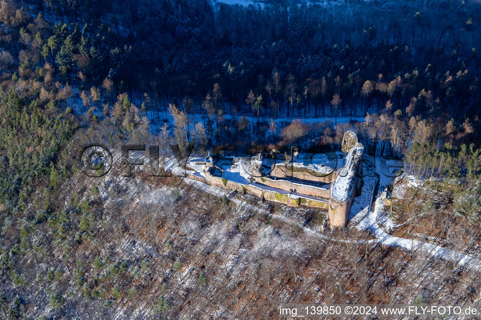 Burgruine Neuscharfeneck aus Süden im Winter bei Schnee in Flemlingen im Bundesland Rheinland-Pfalz, Deutschland von oben