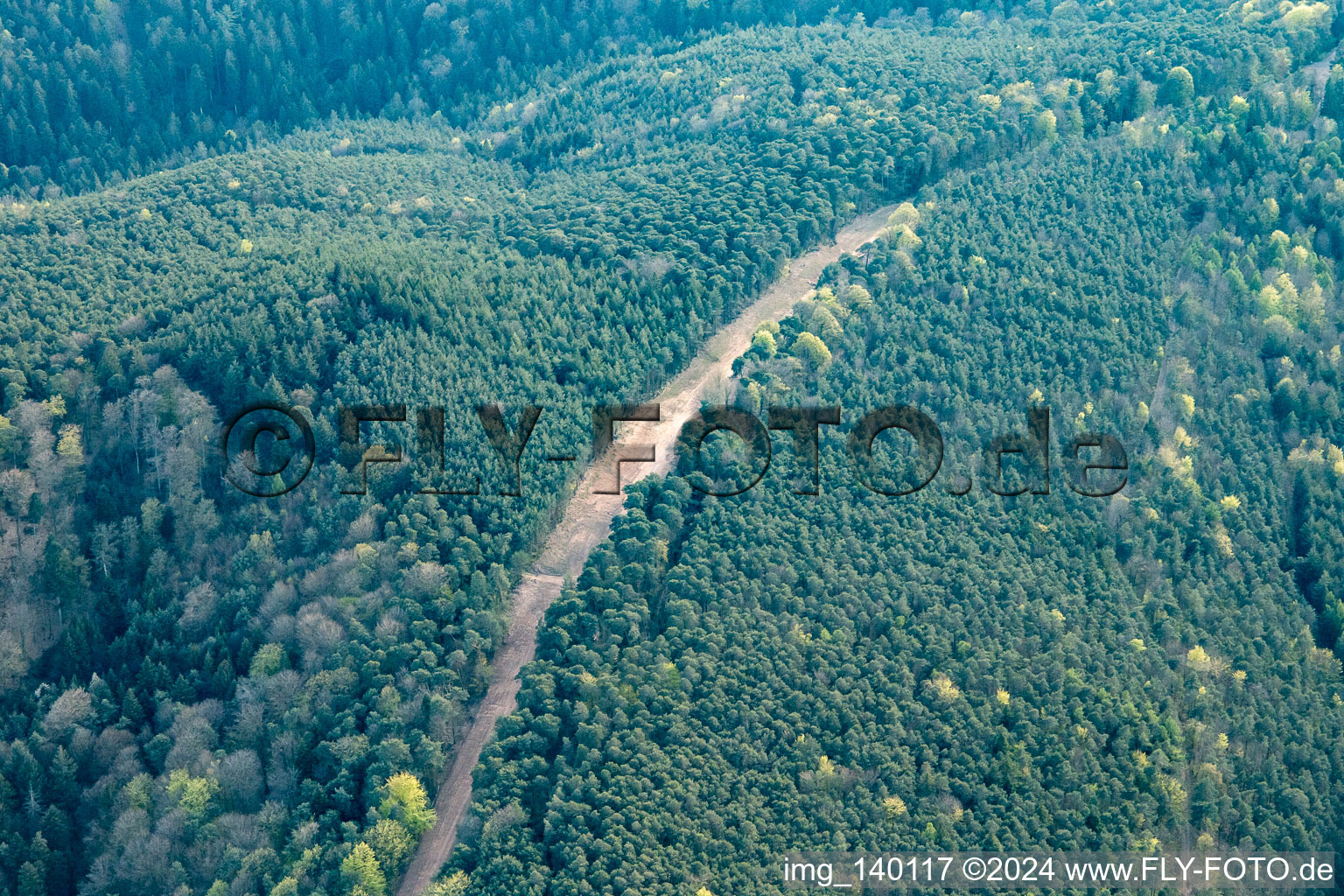 Schneise durch den Pfälzerwald zur Neuerrichtung des Teilstücks der Trans-Europa-Naturgas-Pipeline (TENP-III von den Niederlanden in die Schweiz) auf 51 km Länge zwischen Mittelbrunn und Klingenmünster im Bundesland Rheinland-Pfalz, Deutschland