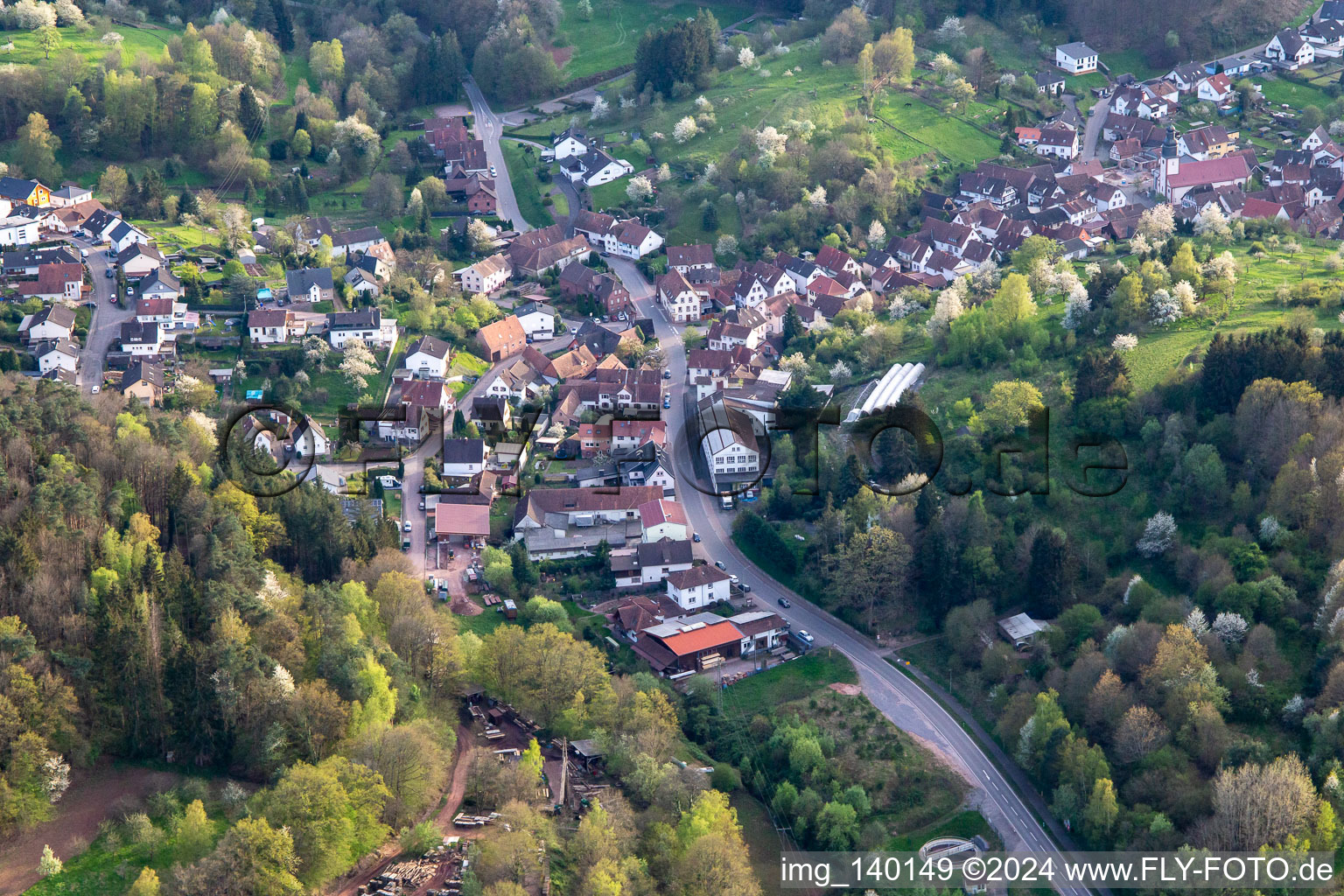 Schwanheim im Bundesland Rheinland-Pfalz, Deutschland von der Drohne aus gesehen