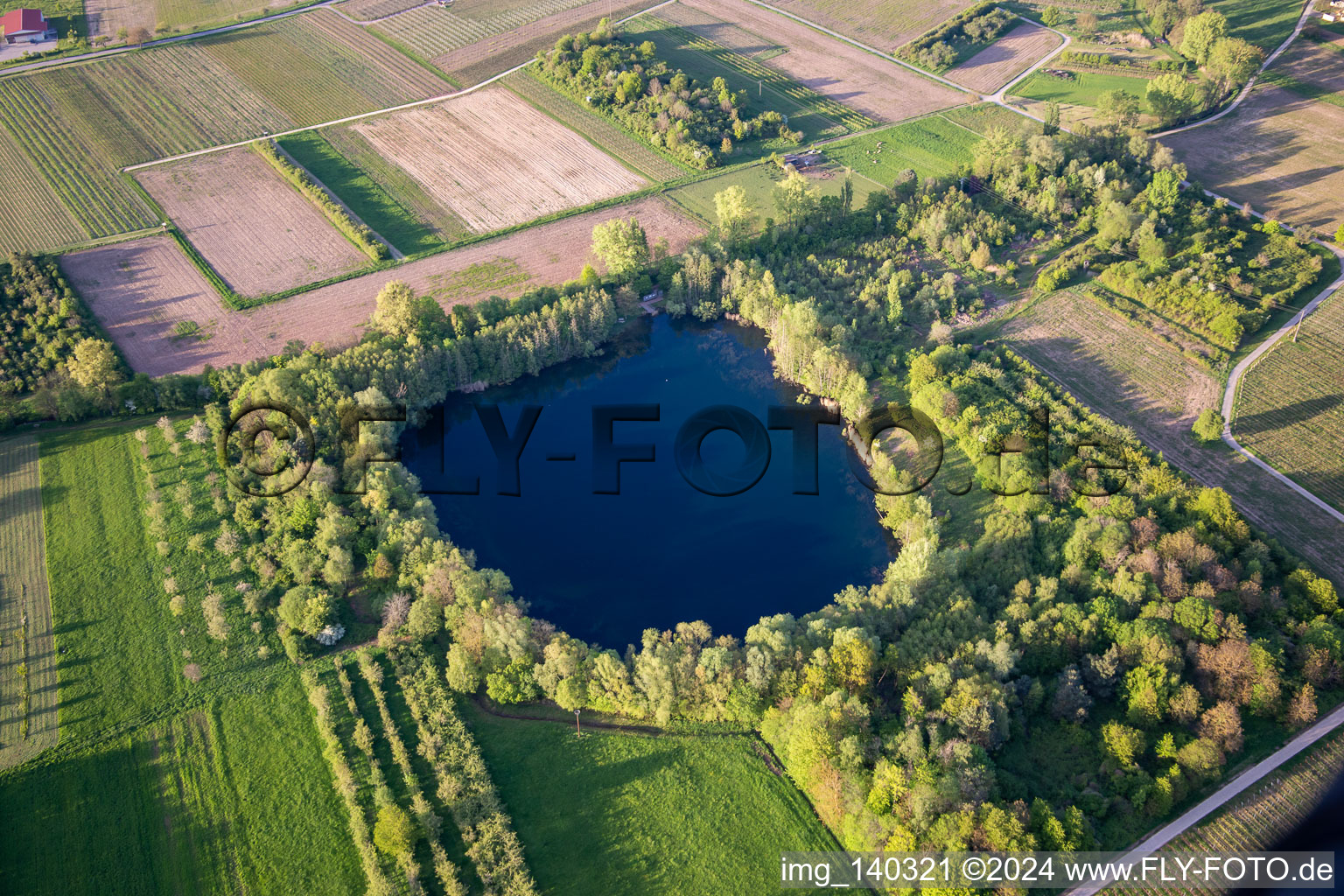 Biotopweiher alte Tongrube in Göcklingen im Bundesland Rheinland-Pfalz, Deutschland