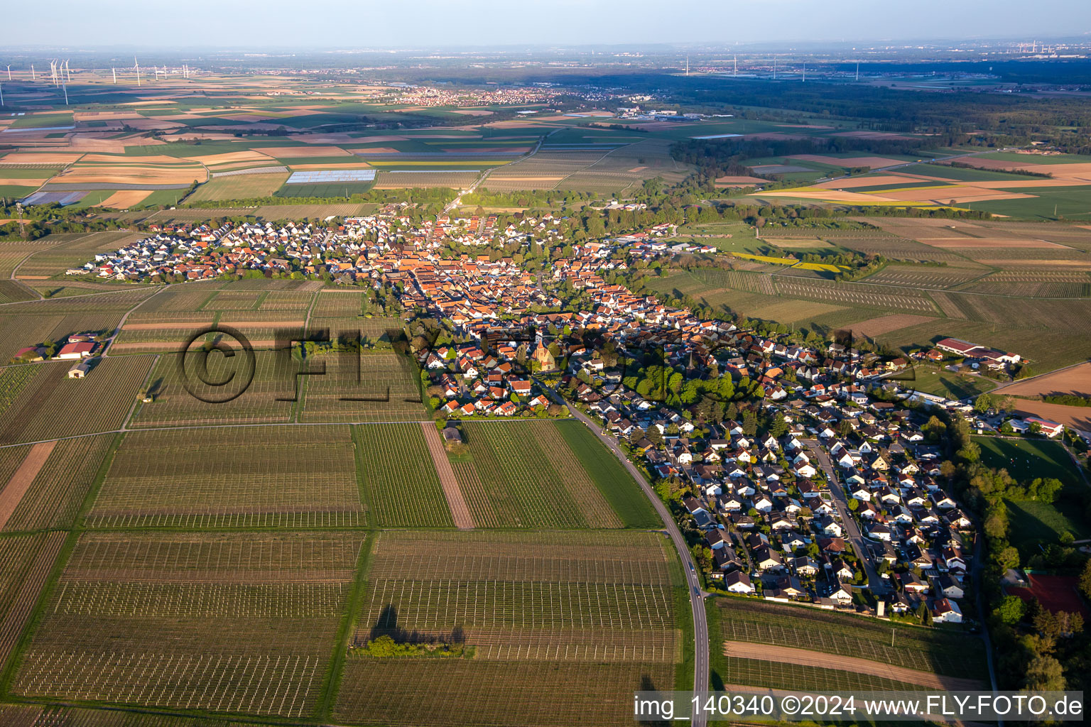 Luftbild von Insheim von Nordwesten im Bundesland Rheinland-Pfalz, Deutschland