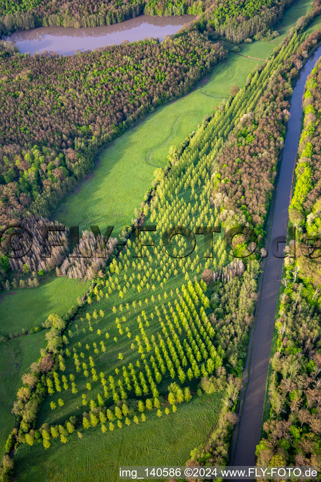 Schonung am Canal des Houillères de la Sarre in Vibersviller im Bundesland Moselle, Frankreich