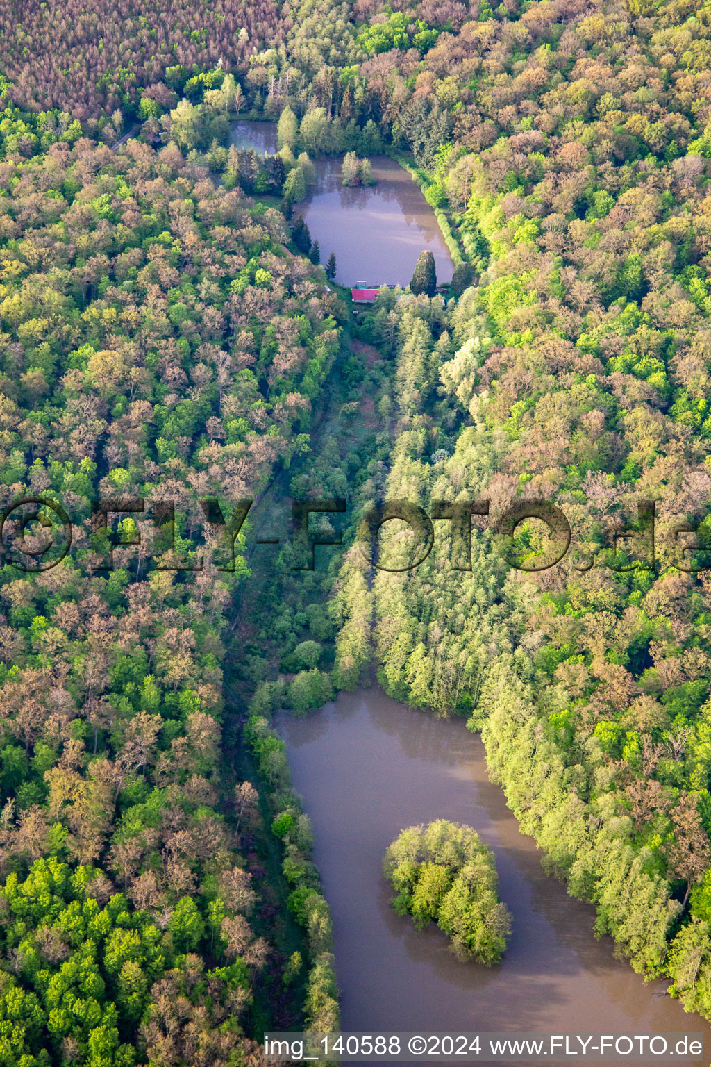 Gross Schwarzweiher in Niederstinzel im Bundesland Moselle, Frankreich