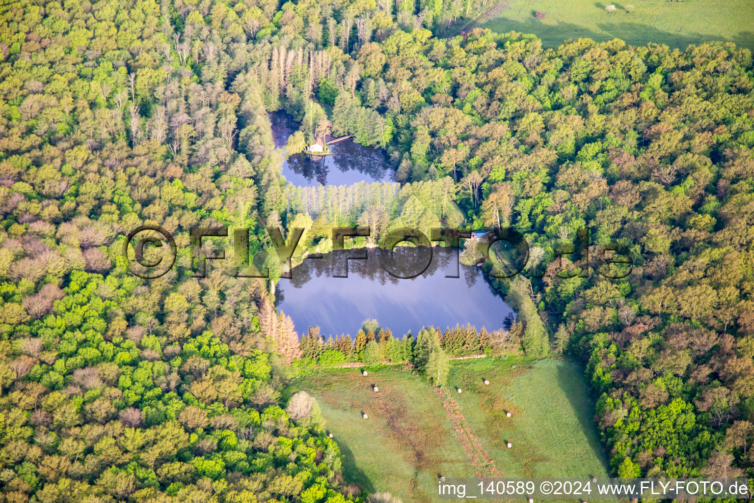 Wier im Wald in Vibersviller im Bundesland Moselle, Frankreich