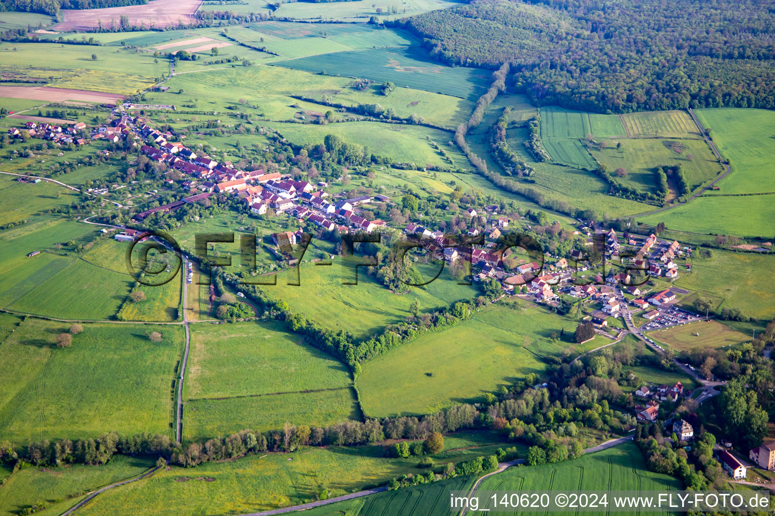 Diedendorf von Süden im Bundesland Bas-Rhin, Frankreich