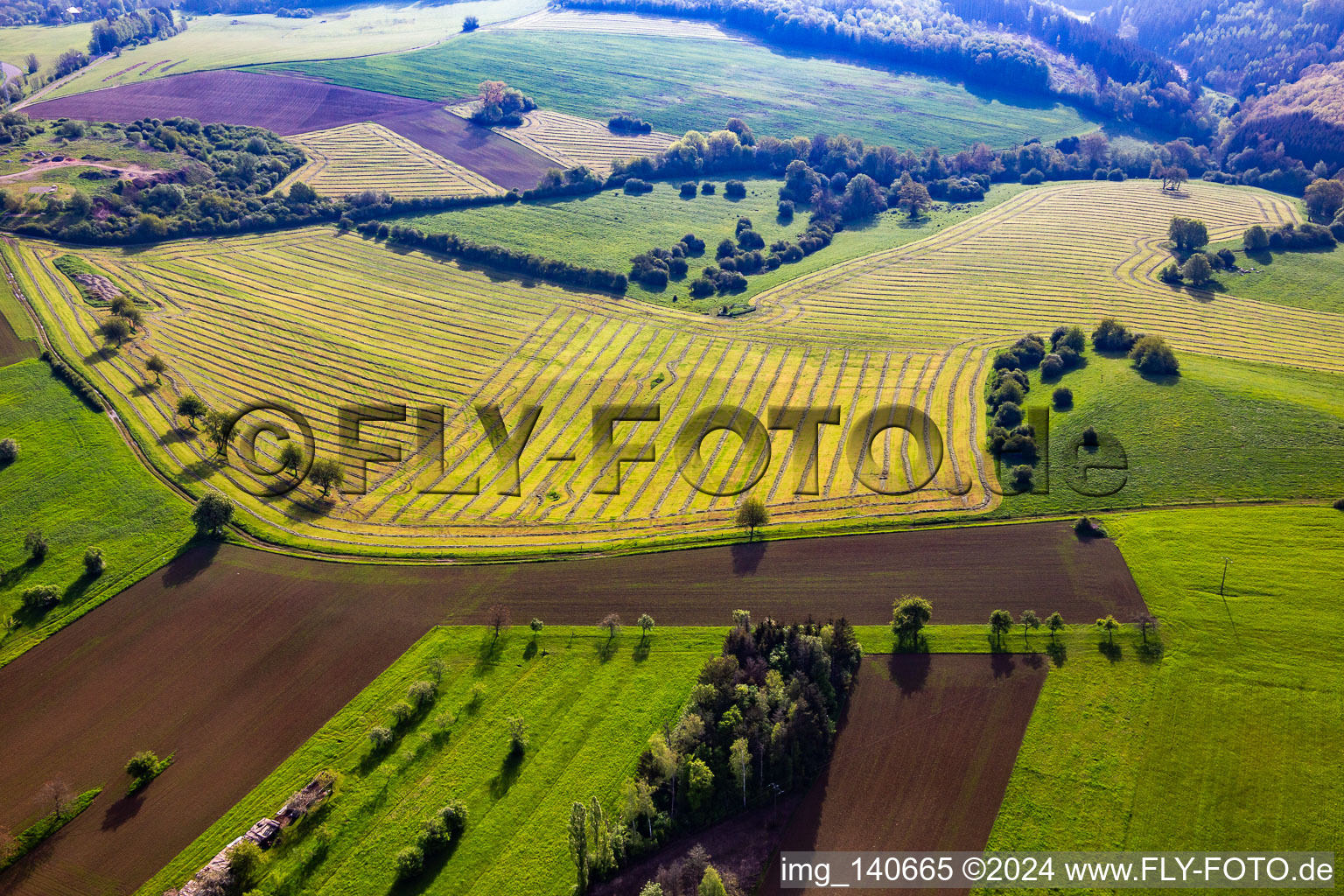 Luftbild von Frisch gemähte Wiesen mit Heureihen in Petit-Réderching im Bundesland Moselle, Frankreich