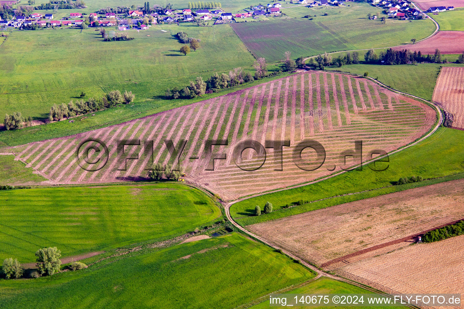 Muster der Feldbearbeitung in Bettviller im Bundesland Moselle, Frankreich