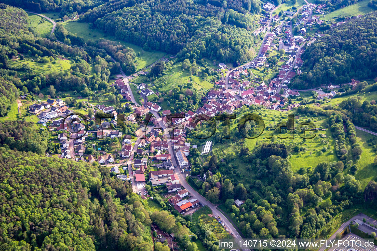 Schwanheim im Bundesland Rheinland-Pfalz, Deutschland aus der Drohnenperspektive