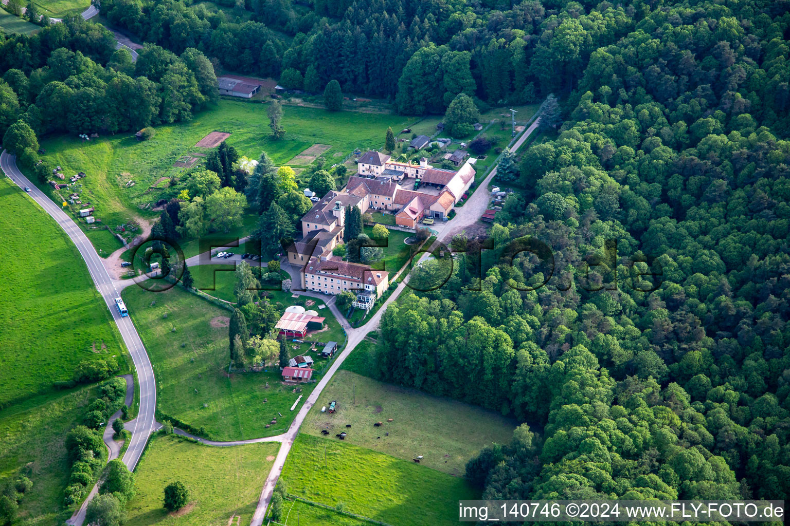 Hofgemeinschaft Josefshof, Gallowway, Freie Bauernhof Waldschule Südpfalz in Völkersweiler im Bundesland Rheinland-Pfalz, Deutschland