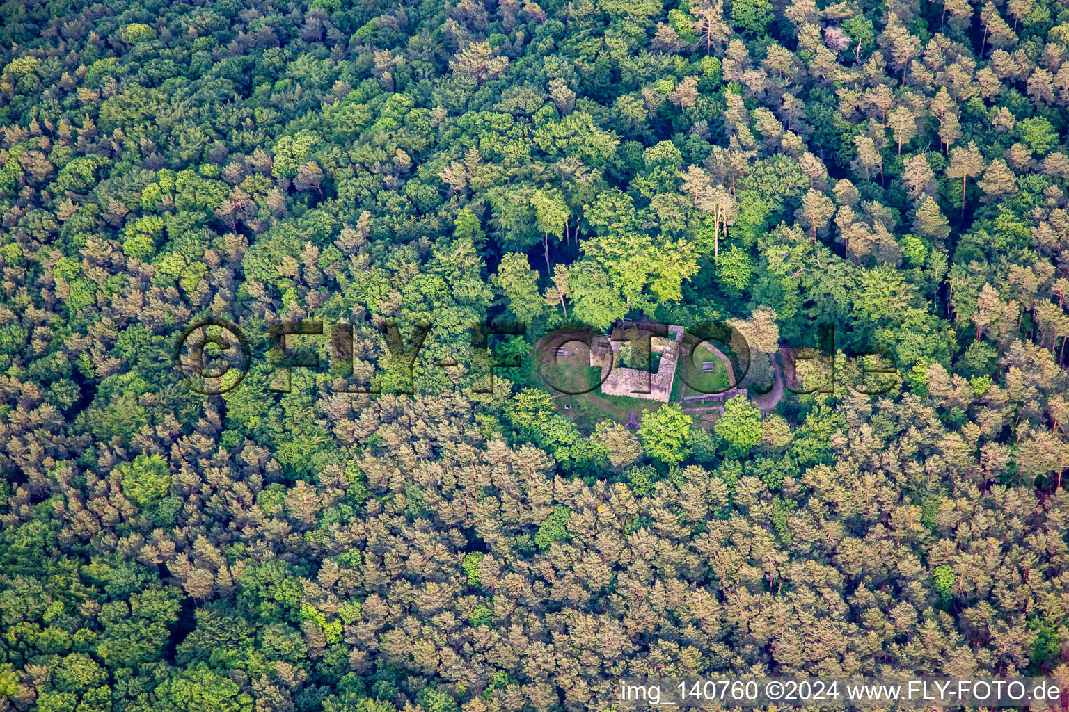 Ruine Waldschlössel in Klingenmünster im Bundesland Rheinland-Pfalz, Deutschland