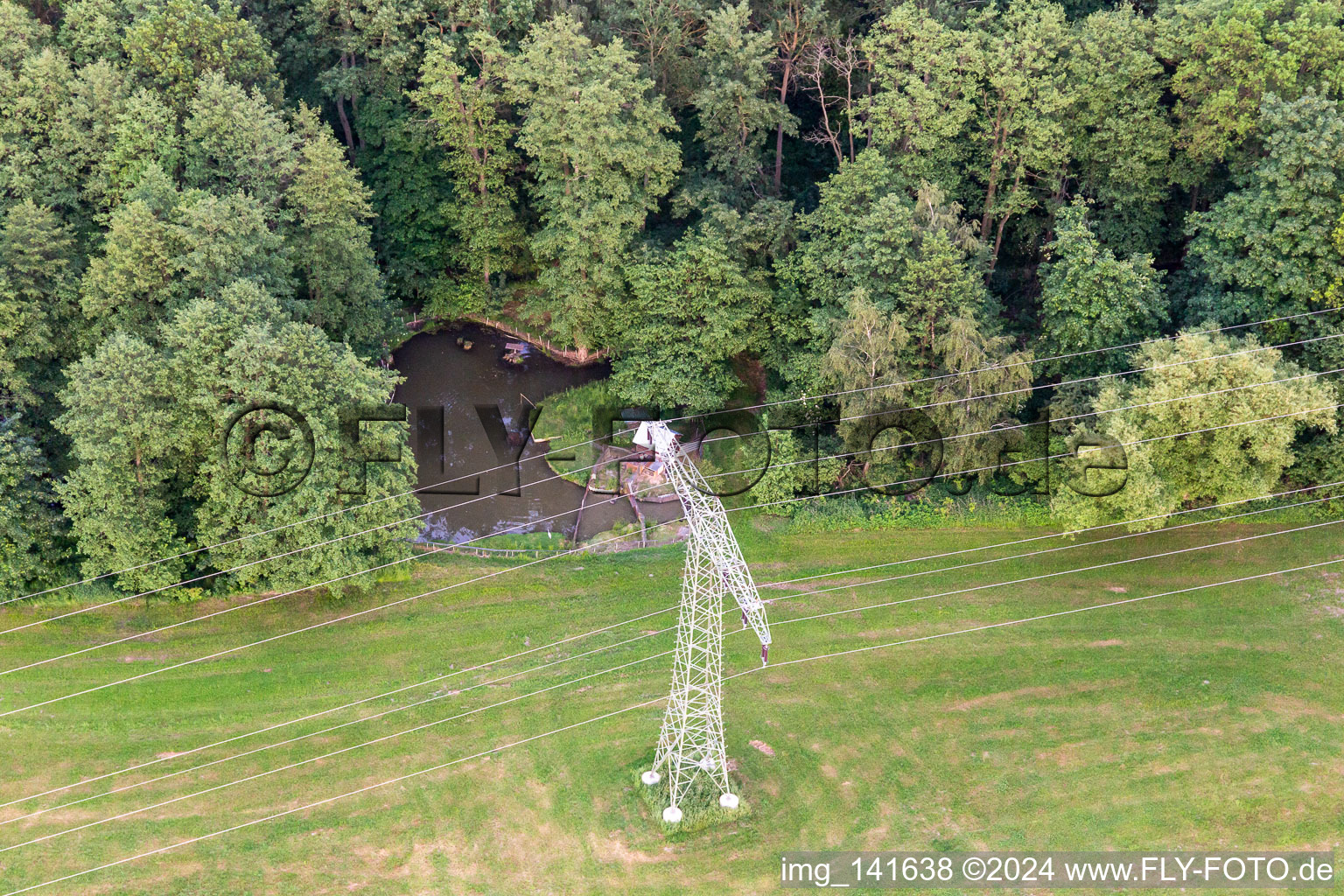 Hochspannungmast am Waldrand mit Angelweier im Ortsteil Burkersdorf in Zittau im Bundesland Sachsen, Deutschland