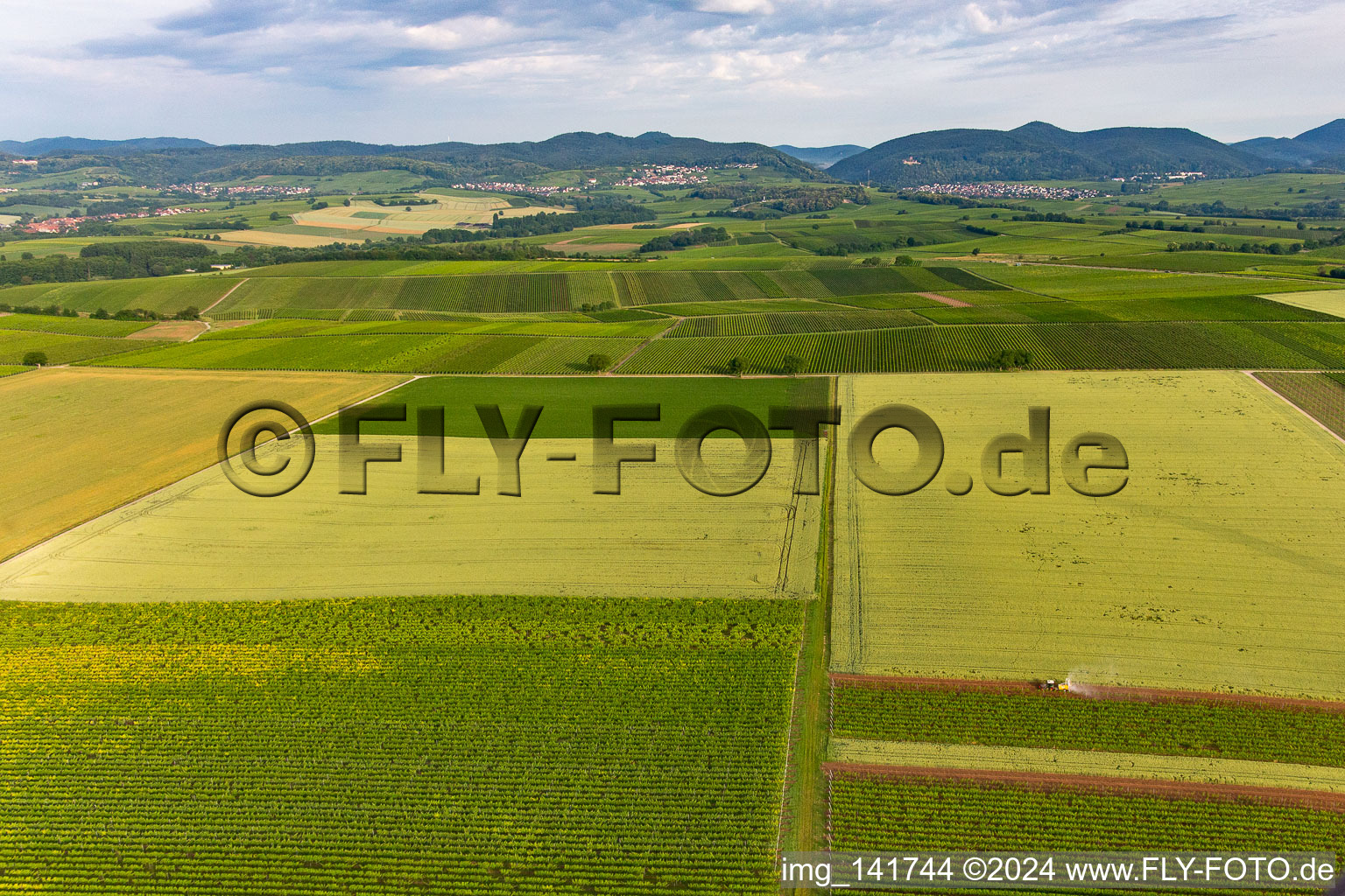 Weinberge vor Klingenmünster im Bundesland Rheinland-Pfalz, Deutschland