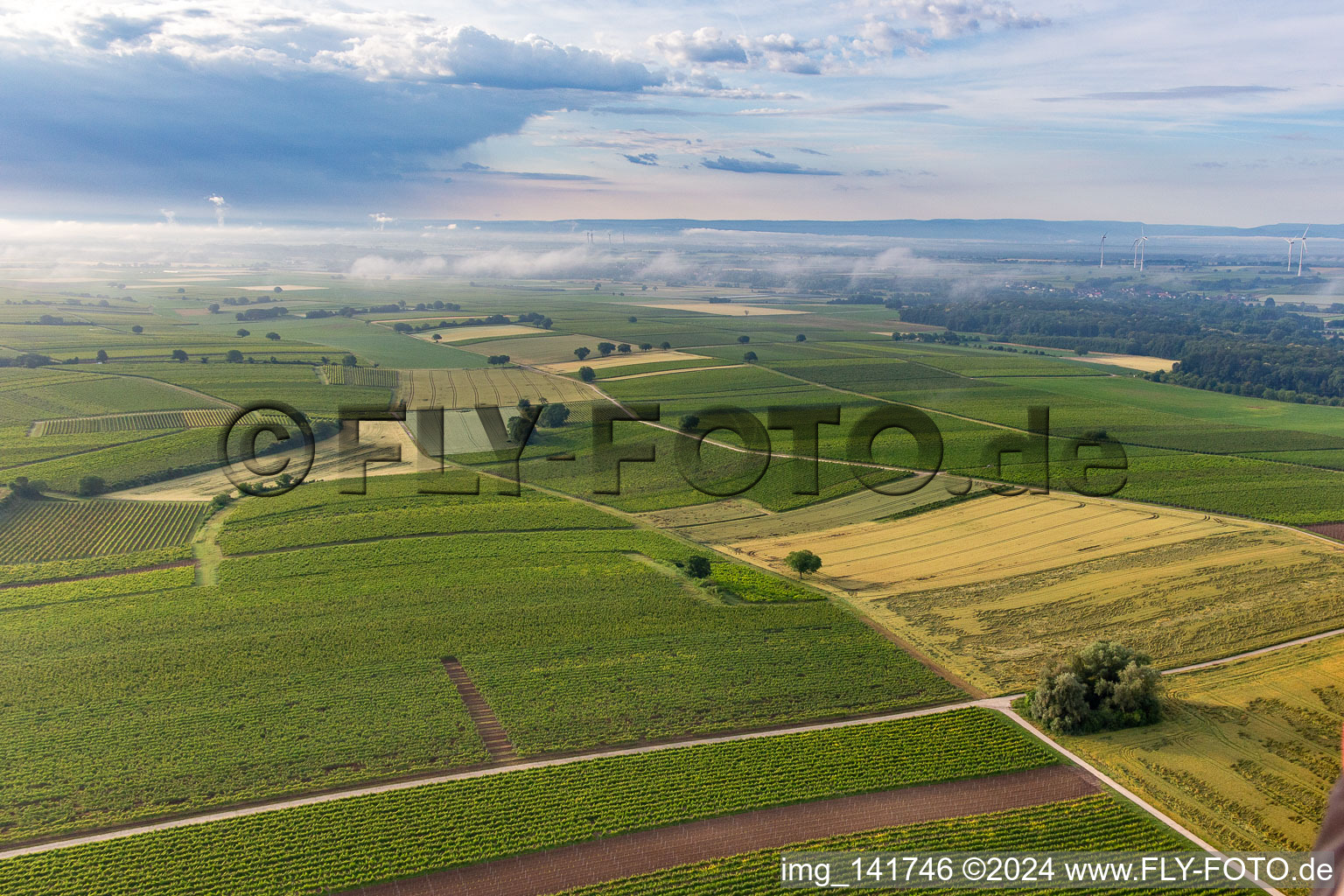 Tiefe Wolken über den Feldern vor Winden im Ortsteil Ingenheim in Billigheim-Ingenheim im Bundesland Rheinland-Pfalz, Deutschland