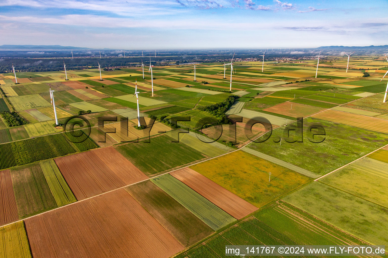 Windpark Offenbach in Bellheim im Bundesland Rheinland-Pfalz, Deutschland