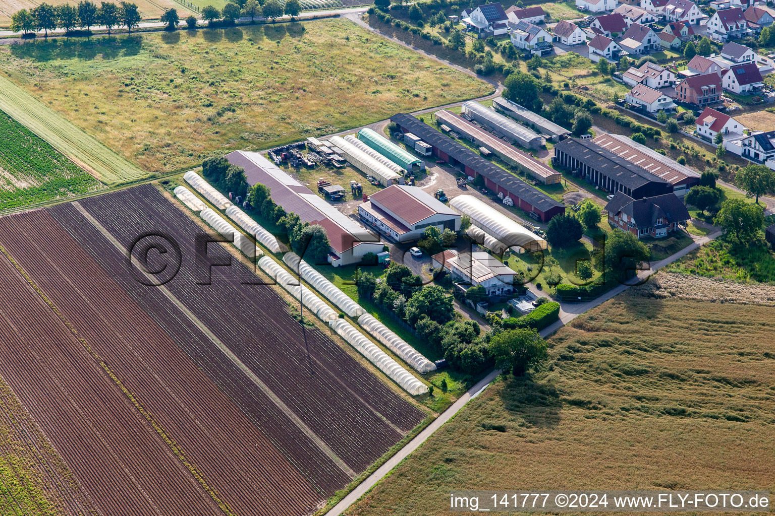 Markus Fischer Ferienwohnung in Hördt im Bundesland Rheinland-Pfalz, Deutschland