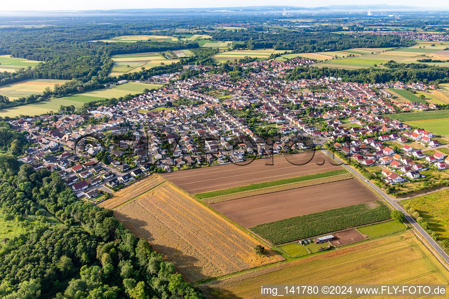 Hördt von Norden im Bundesland Rheinland-Pfalz, Deutschland