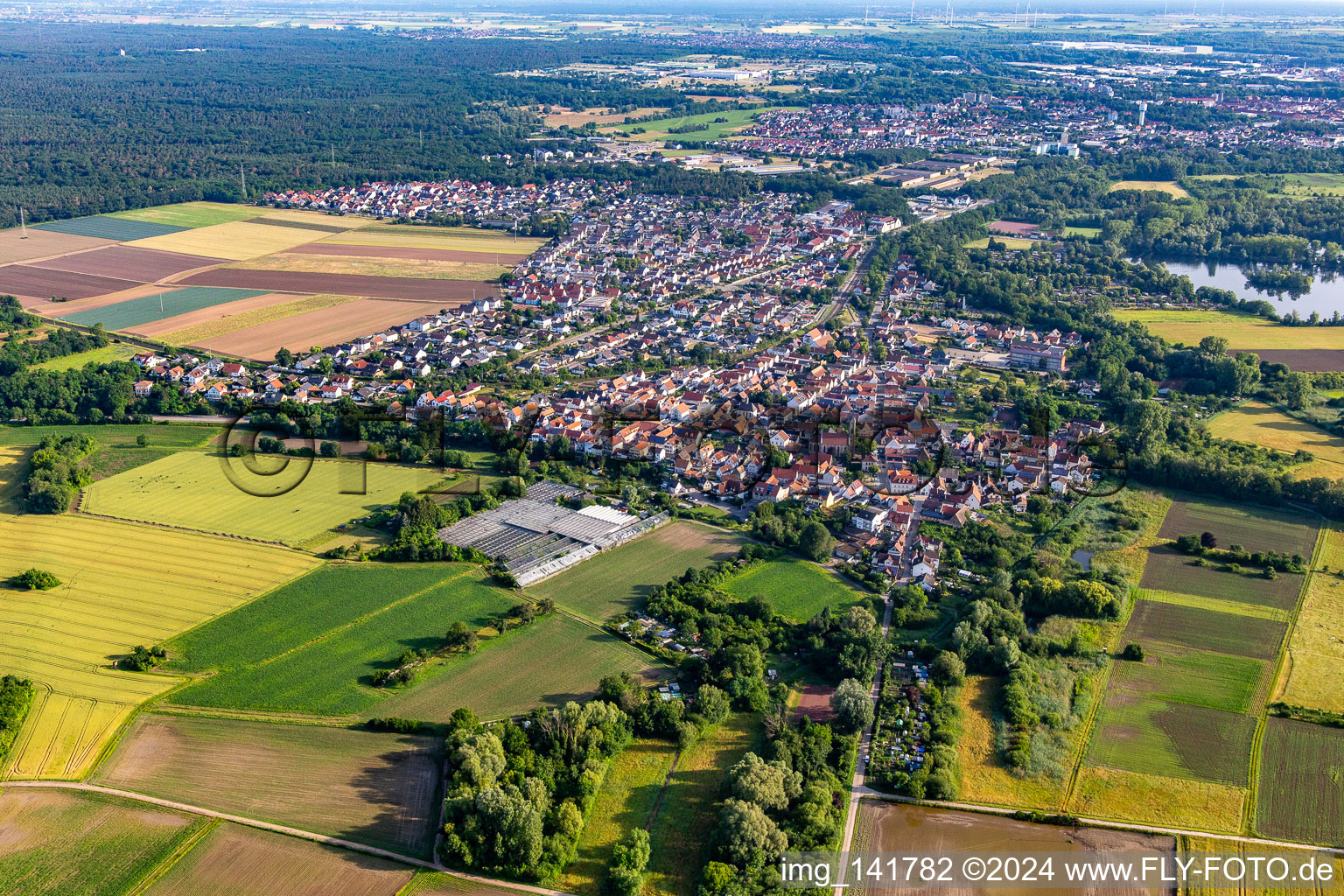 Sondernheim von Süden in Germersheim im Bundesland Rheinland-Pfalz, Deutschland