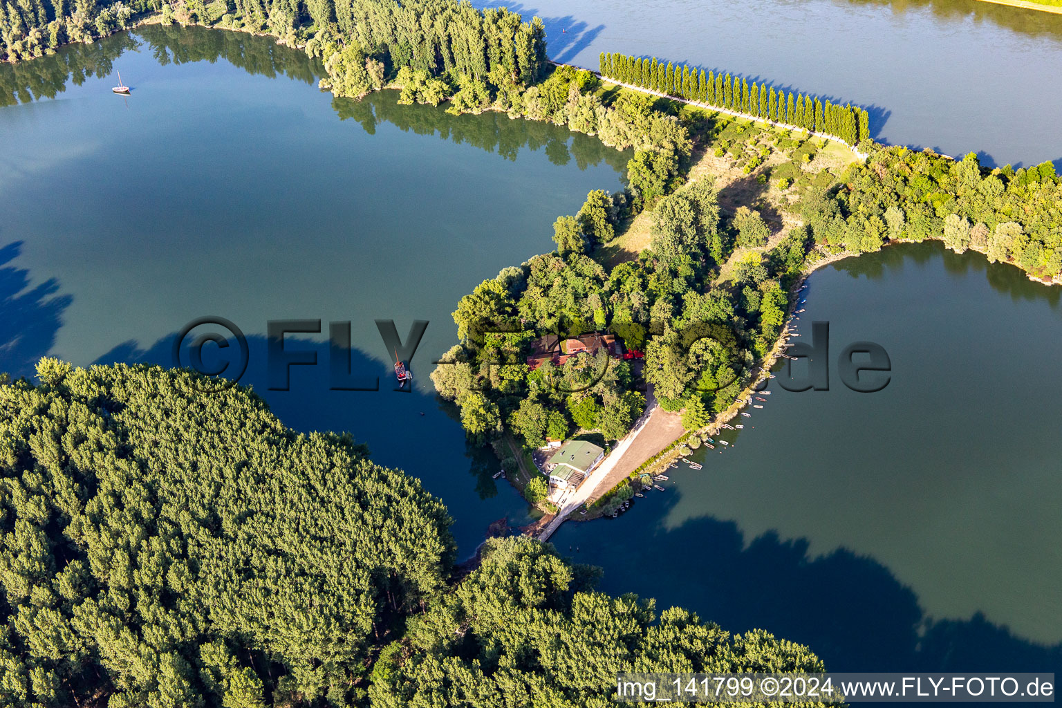 Pappelallee und Restaurant auf Insel Rott am Rhein in Linkenheim-Hochstetten im Bundesland Baden-Württemberg, Deutschland