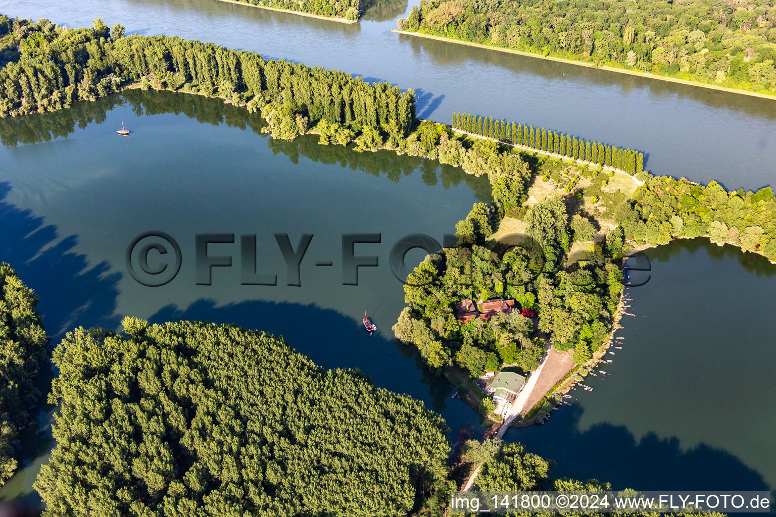 Luftbild von Pappelallee und Restaurant auf Insel Rott am Rhein in Linkenheim-Hochstetten im Bundesland Baden-Württemberg, Deutschland