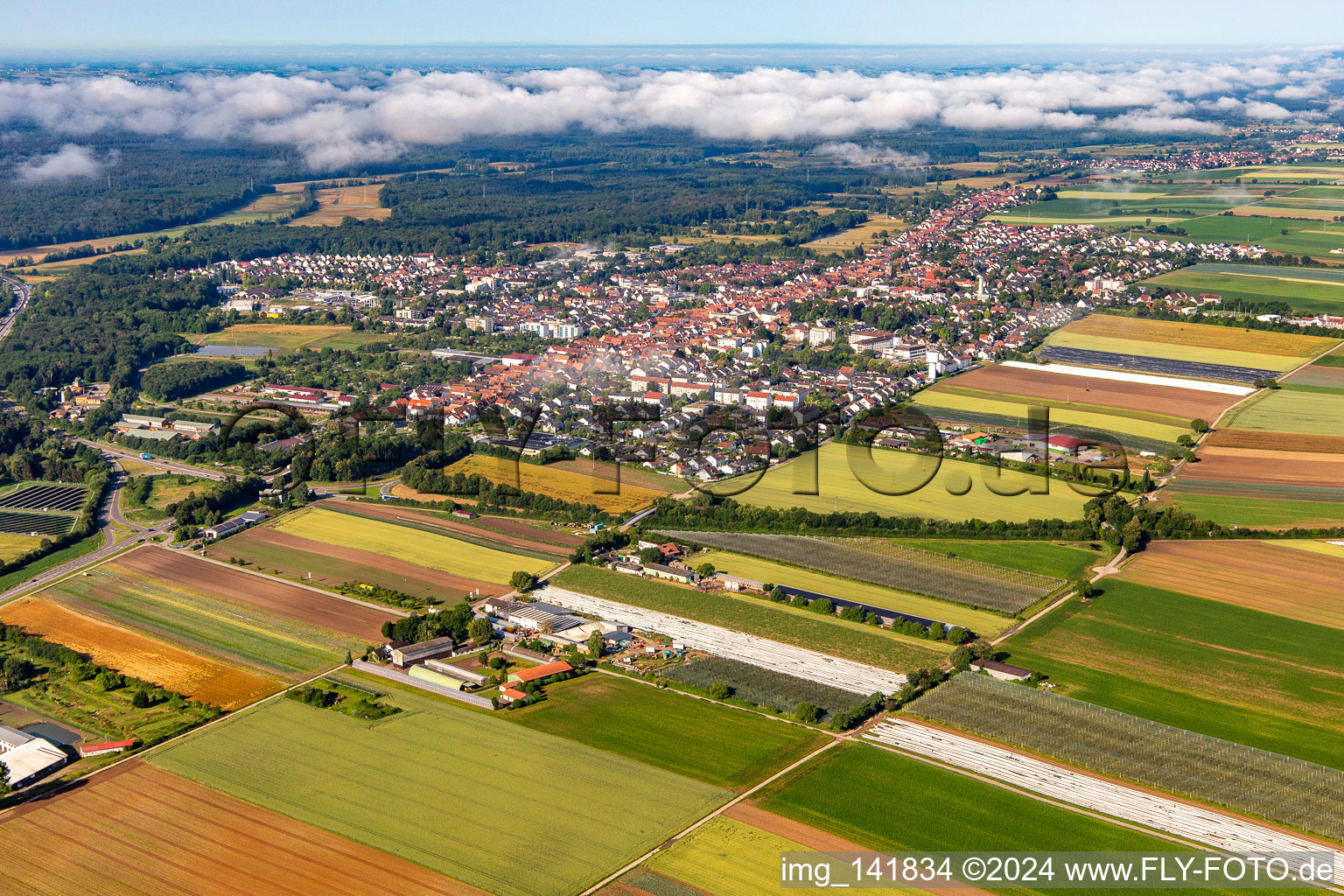 Kandel von Nordosten im Bundesland Rheinland-Pfalz, Deutschland