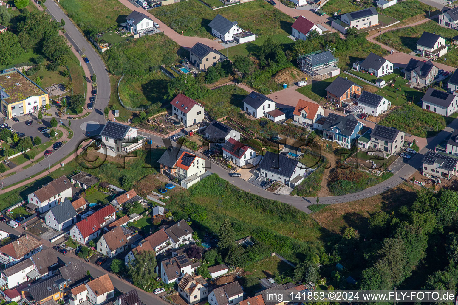 Rosenweg in Kandel im Bundesland Rheinland-Pfalz, Deutschland