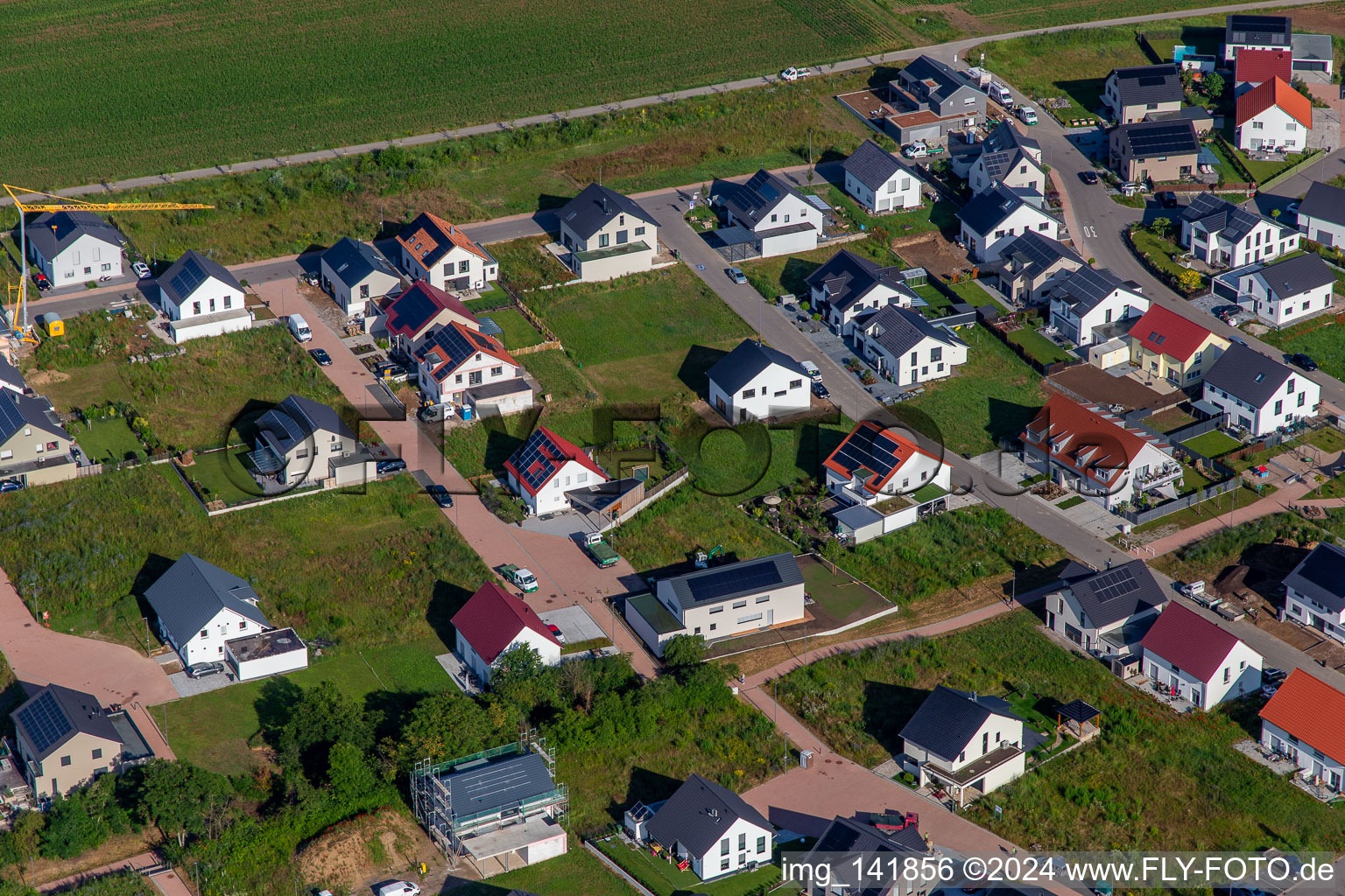 Lavendelweg in Kandel im Bundesland Rheinland-Pfalz, Deutschland